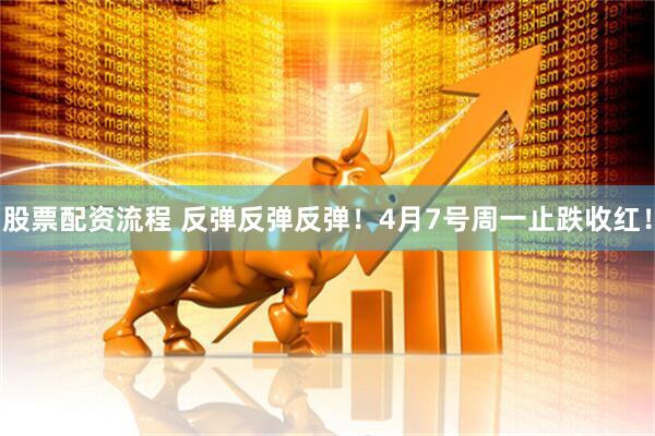 股票配资流程 反弹反弹反弹！4月7号周一止跌收红！