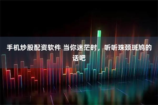手机炒股配资软件 当你迷茫时，听听珠颈斑鸠的话吧